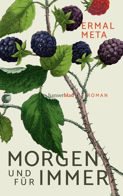 Morgen und für immer, Ermal Meta - Paperback - 9783446279810