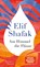 Am Himmel die Flüsse, Elif Shafak - Gebonden - 9783446280083