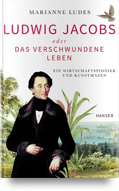 Ludwig Jacobs oder das verschwundene Leben, Marianne Ludes - Gebonden - 9783446470491