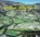 Kreutzmann, H: Pamirian Crossroads, KREUTZMANN,  Hermann - Gebonden - 9783447104494