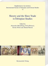Slavery and the Slave Trade in Ethiopian Studies - Giulia Bonacci ; Alexander Meckelburg ; Serena Tolino - 9783447115803