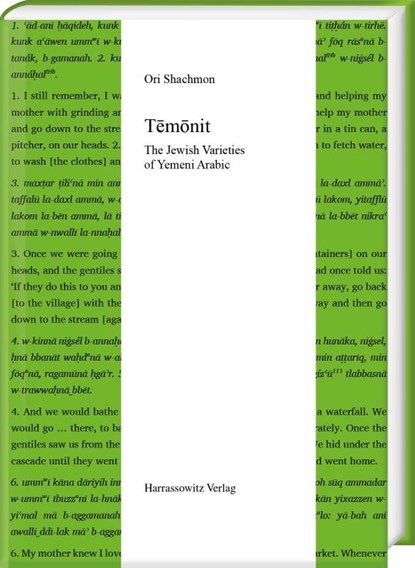 Temonit, Ori Shachmon - Gebonden - 9783447119122