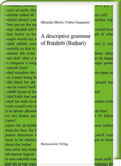 A descriptive grammar of B¿¿a¿r¿t (Ba¿¿ari), Miranda Morris ; Fabio Gasparini - Gebonden - 9783447123884