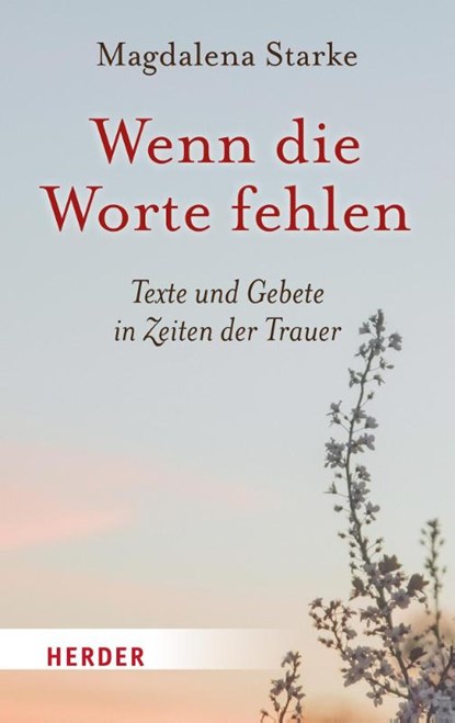 Wenn die Worte fehlen, Magdalena Starke - Gebonden - 9783451003394