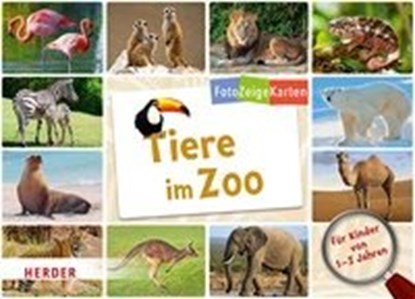 FotoZeigeKarten: Tiere im Zoo, niet bekend - Losbladig - 9783451376160