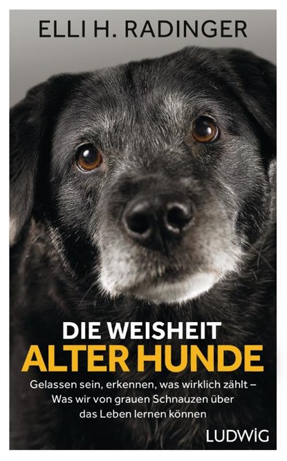 Die Weisheit alter Hunde, Elli H. Radinger - Gebonden - 9783453281080