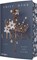 Chosen - Haus aus Asche, Emily Bähr - Paperback - 9783453323490