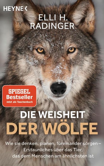Die Weisheit der Wölfe, Elli H. Radinger - Paperback - 9783453605121