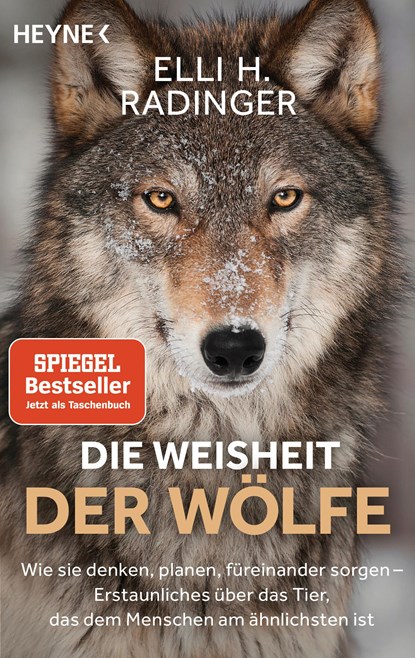 Die Weisheit der Wölfe, Elli H. Radinger - Paperback - 9783453605121