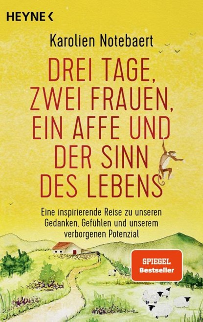 Drei Tage, zwei Frauen, ein Affe und der Sinn des Lebens, Karolien Notebaert - Paperback - 9783453606227