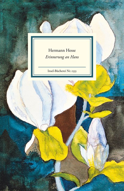 Erinnerung an Hans, Hermann Hesse - Gebonden - 9783458195337