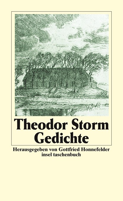Gedichte, Theodor Storm - Paperback - 9783458324317