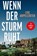 Wenn der Sturm ruht, Lenz Koppelstätter - Paperback - 9783462008852