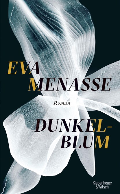Dunkelblum, Eva Menasse - Gebonden - 9783462047905