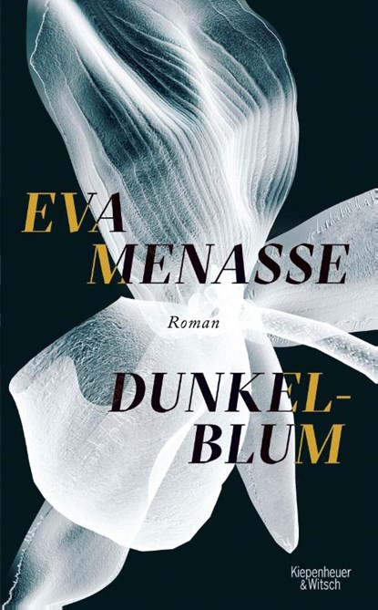 Dunkelblum, Eva Menasse - Gebonden - 9783462047905