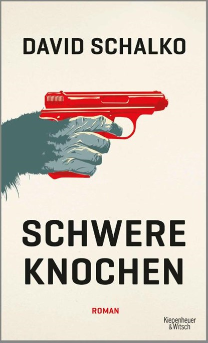 Schwere Knochen, David Schalko - Gebonden - 9783462050967