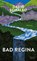 Bad Regina, David Schalko - Gebonden - 9783462053302