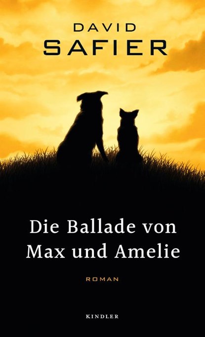 Die Ballade von Max und Amelie, SAFIER,  David - Gebonden - 9783463407098
