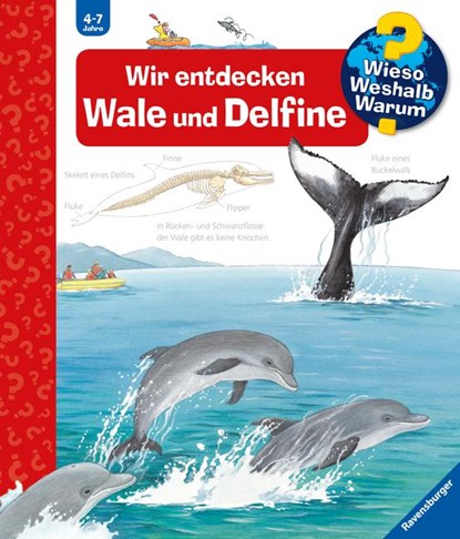 Wieso? Weshalb? Warum?, Band 41: Wir entdecken Wale und Delfine, Doris Rübel - Paperback - 9783473327751