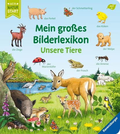 Mein großes Bilderlexikon: Unsere Tiere, Susanne Gernhäuser - Gebonden - 9783473416783