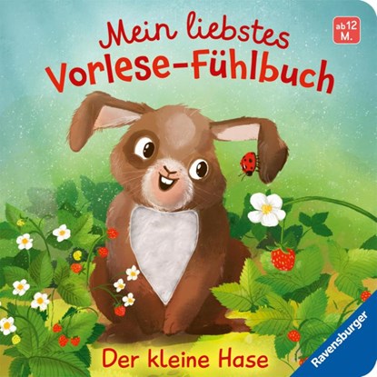 Mein liebstes Vorlese-Fühlbuch - Der kleine Hase, Maria Höck - Gebonden - 9783473420698