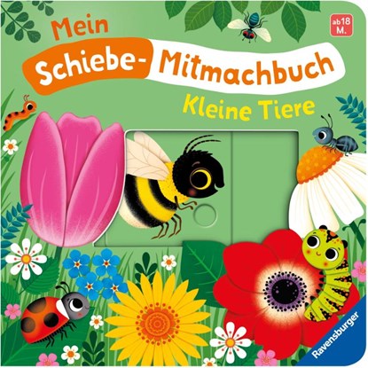 Mein Schiebe-Mitmachbuch - Kleine Tiere, Bernd Penners - Gebonden - 9783473421237