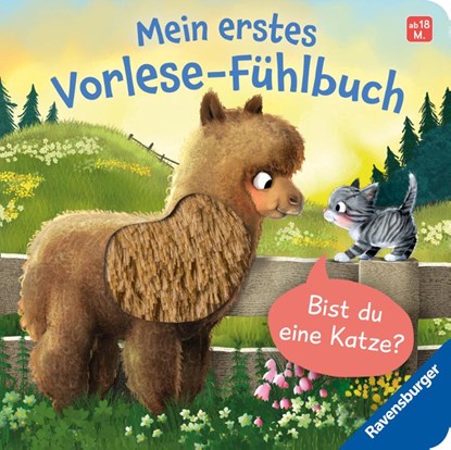 Mein erstes Vorlese-Fühlbuch - Bist du eine Katze?, Kathrin Lena Orso - Gebonden - 9783473421251