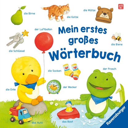 Mein erstes großes Wörterbuch, Hannelore Dierks - Gebonden - 9783473421732