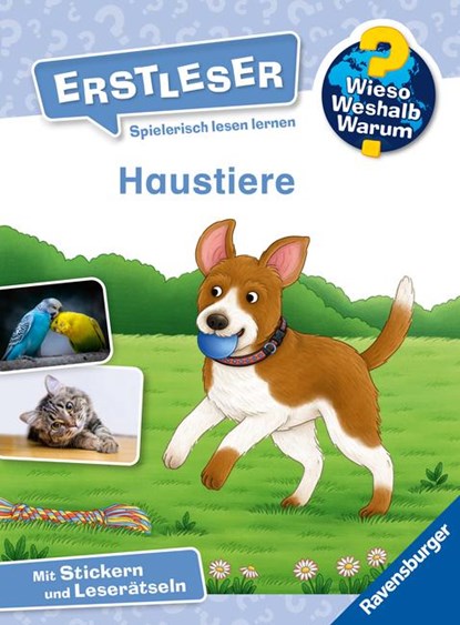 Wieso? Weshalb? Warum? Erstleser, Band 12 - Haustiere, Karin Müller - Gebonden - 9783473600496