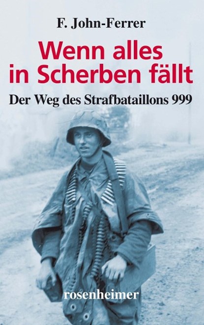 Wenn alles in Scherben fällt, F. John-Ferrer - Gebonden - 9783475544347