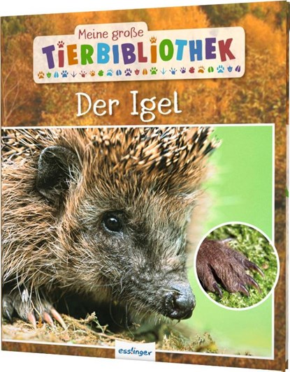 Meine große Tierbibliothek: Der Igel, Valérie Tracqui - Gebonden - 9783480235735