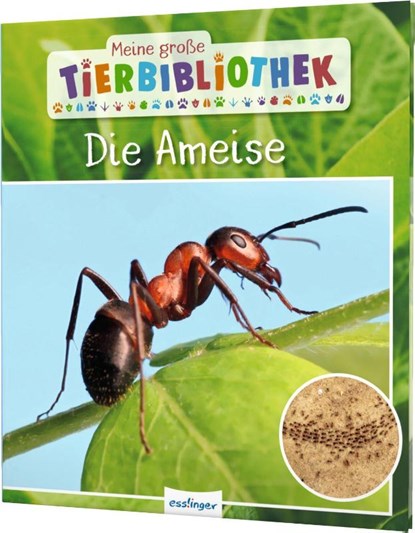 Meine große Tierbibliothek: Die Ameise, Axel Gutjahr - Gebonden - 9783480235810