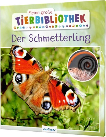 Meine große Tierbibliothek: Der Schmetterling, Valérie Tracqui - Gebonden - 9783480236206