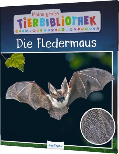 Meine große Tierbibliothek: Die Fledermaus, Jens Poschadel ; Antje Möller - Gebonden - 9783480236220