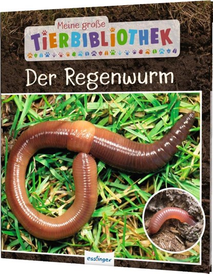 Meine große Tierbibliothek: Der Regenwurm, Valérie Tracqui - Gebonden - 9783480236237