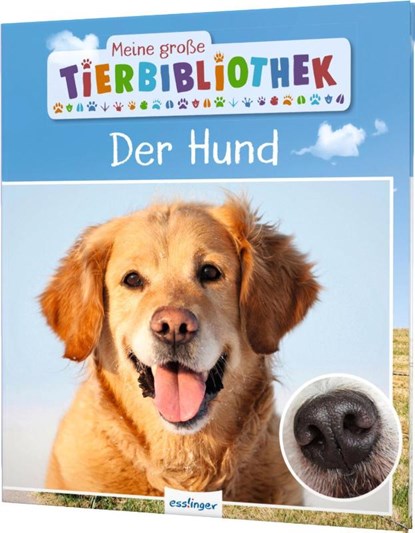 Meine große Tierbibliothek: Der Hund, Valérie Tracqui - Gebonden - 9783480236268