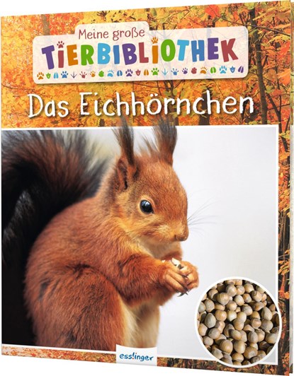 Meine große Tierbibliothek: Das Eichhörnchen, Stéphanie Ledu-Frattini - Gebonden - 9783480236558