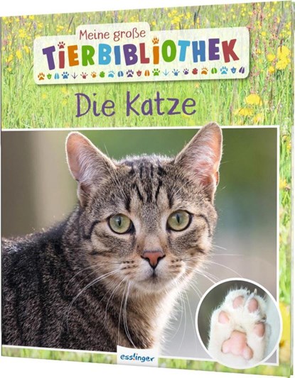 Meine große Tierbibliothek: Die Katze, Stéphanie Ledu-Frattini - Gebonden - 9783480236596