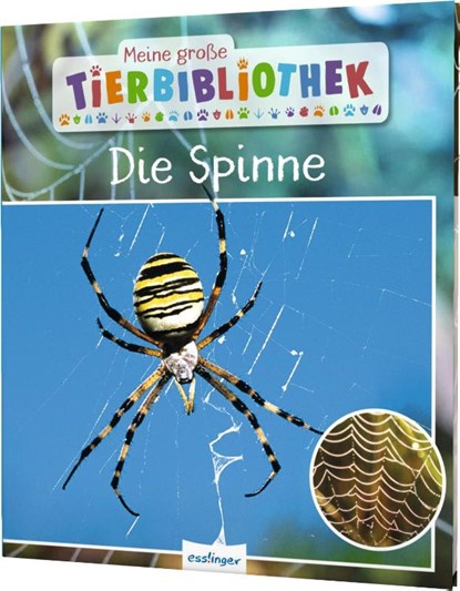 Meine große Tierbibliothek: Die Spinne, Jens Poschadel - Gebonden - 9783480237128