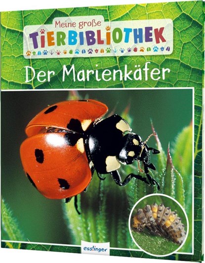 Meine große Tierbibliothek: Der Marienkäfer, Valérie Tracqui - Gebonden - 9783480237470