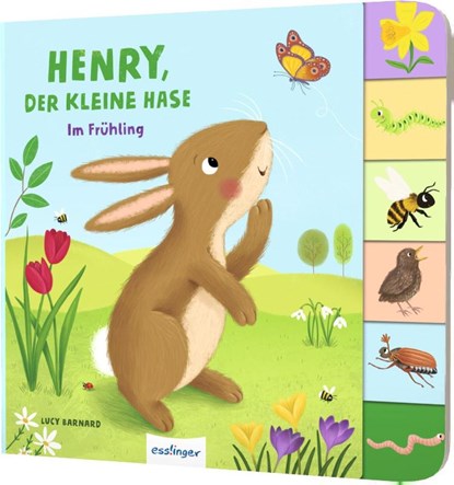 Mein erstes Jahreszeitenbuch: Henry, der kleine Hase, Anja Kiel - Gebonden - 9783480238187
