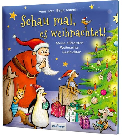 Schau mal, es weihnachtet!, Anna Lott - Gebonden - 9783480238255