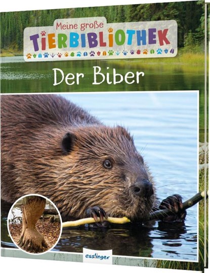 Meine große Tierbibliothek: Der Biber, Axel Gutjahr - Gebonden - 9783480239429