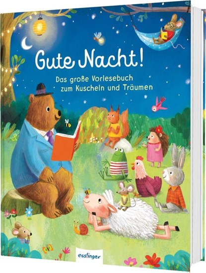 Gute Nacht!, Julie Harman - Gebonden - 9783480240876