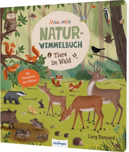 Tiere im Wald, Sibylle Schumann - Gebonden - 9783480241361
