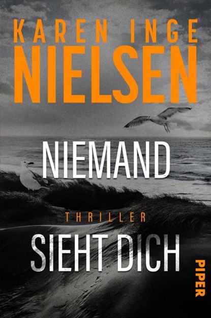 Niemand sieht dich, Karen Inge Nielsen - Paperback - 9783492067126