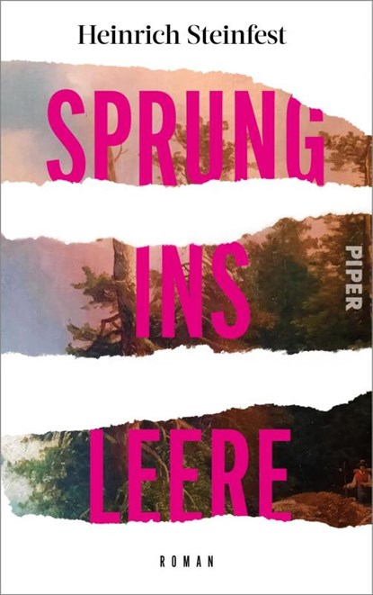 Sprung ins Leere, Heinrich Steinfest - Gebonden - 9783492072151