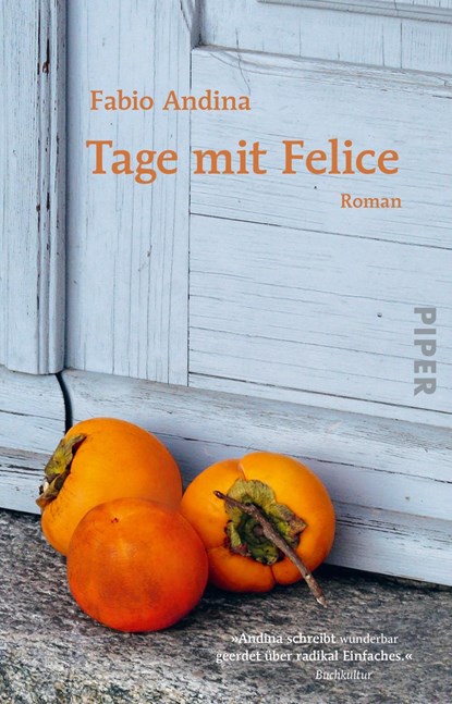 Tage mit Felice, Fabio Andina - Paperback - 9783492317597
