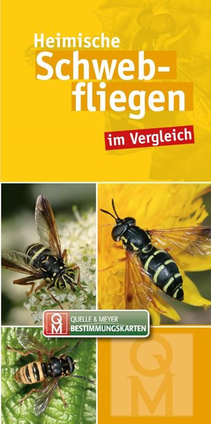 Heimische Schwebfliegen, Quelle & Meyer Verlag - Losbladig - 9783494017754