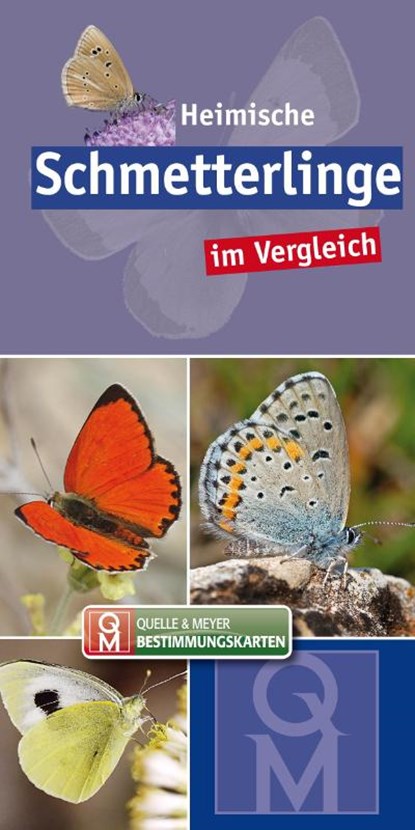 Heimische Schmetterlinge, Quelle & Meyer Verlag - Losbladig - 9783494018096
